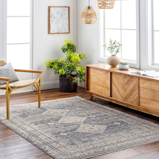 Surya Livabliss Aida AAD-2305 Rug