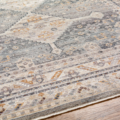 Surya Livabliss Aida AAD-2305 Rug
