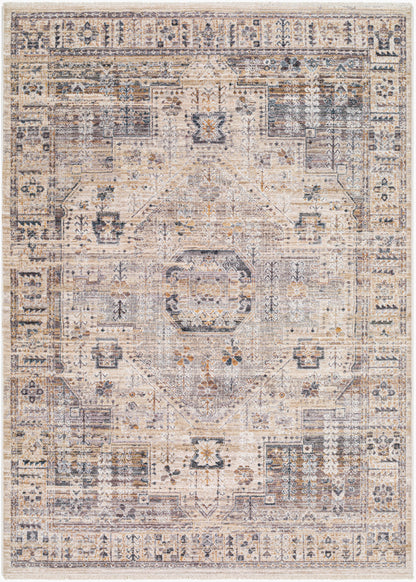 Surya Livabliss Aida AAD-2307 Rug