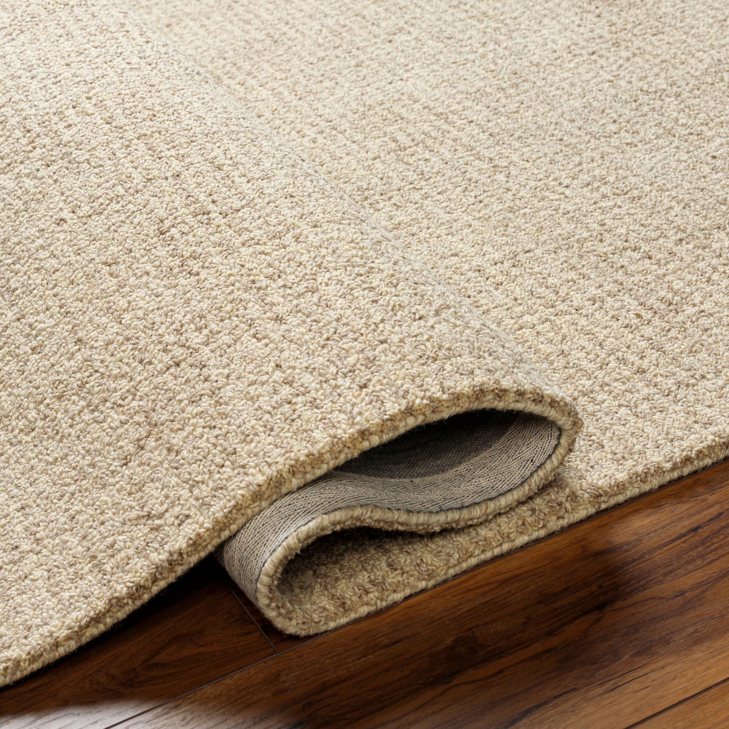 Surya Aiden AEN-1000 Rug