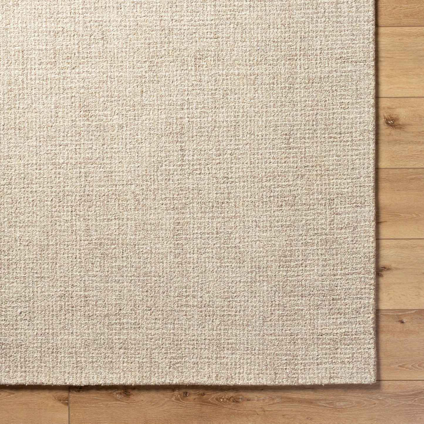 Surya Aiden AEN-1000 Rug