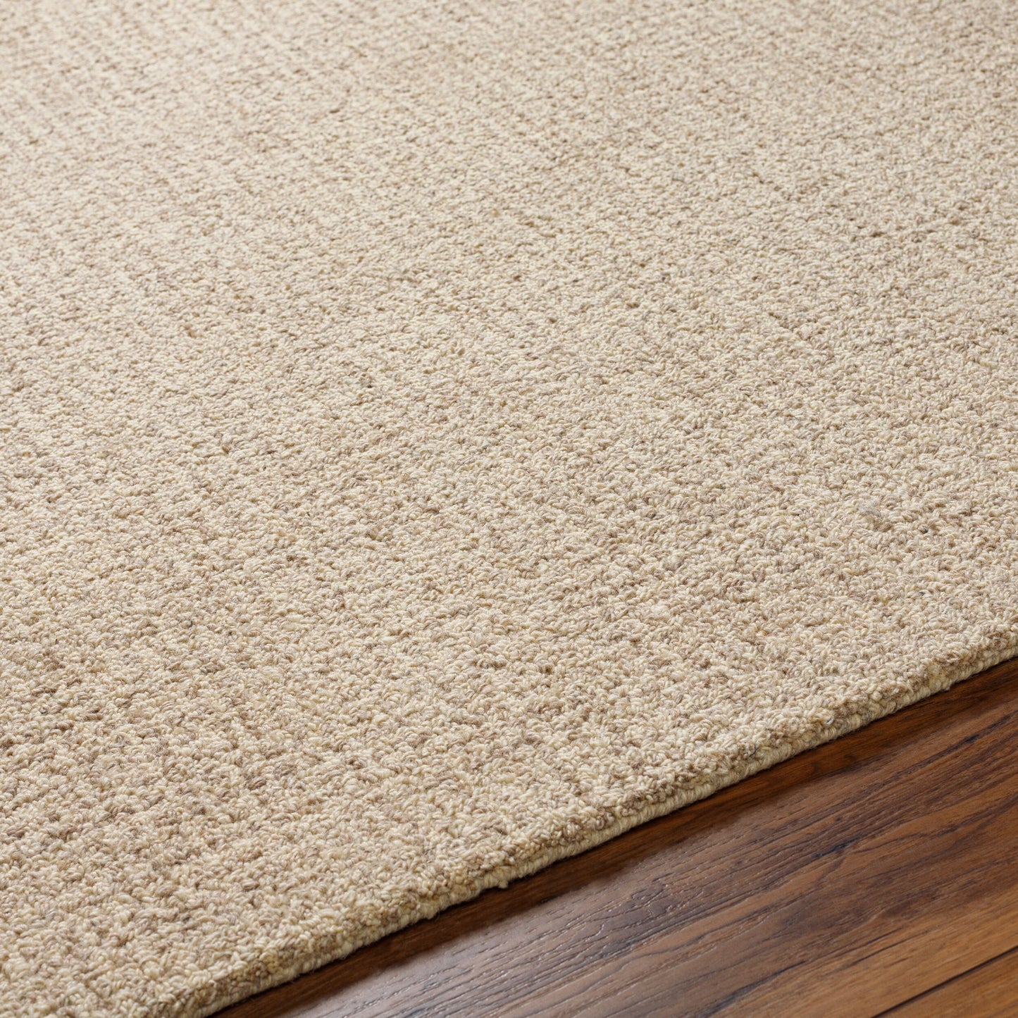 Surya Aiden AEN-1000 Rug