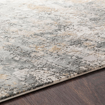 Surya Livabliss Aisha AIS-2303 Rug