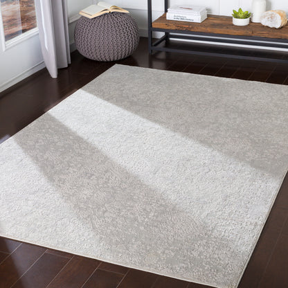 Surya Livabliss Aisha AIS-2306 Rug