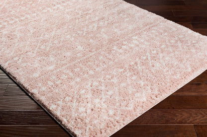 Surya Livabliss Aliyah ALH-2300 Shag Rug