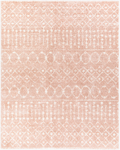 Surya Livabliss Aliyah ALH-2300 Shag Rug