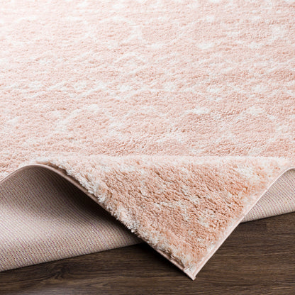 Surya Livabliss Aliyah ALH-2300 Shag Rug