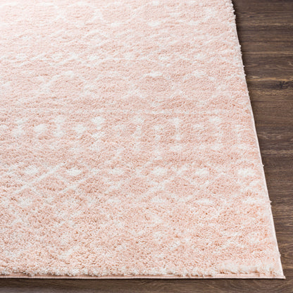 Surya Livabliss Aliyah ALH-2300 Shag Rug