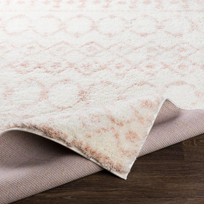 Surya Livabliss Aliyah ALH-2301 Shag Rug