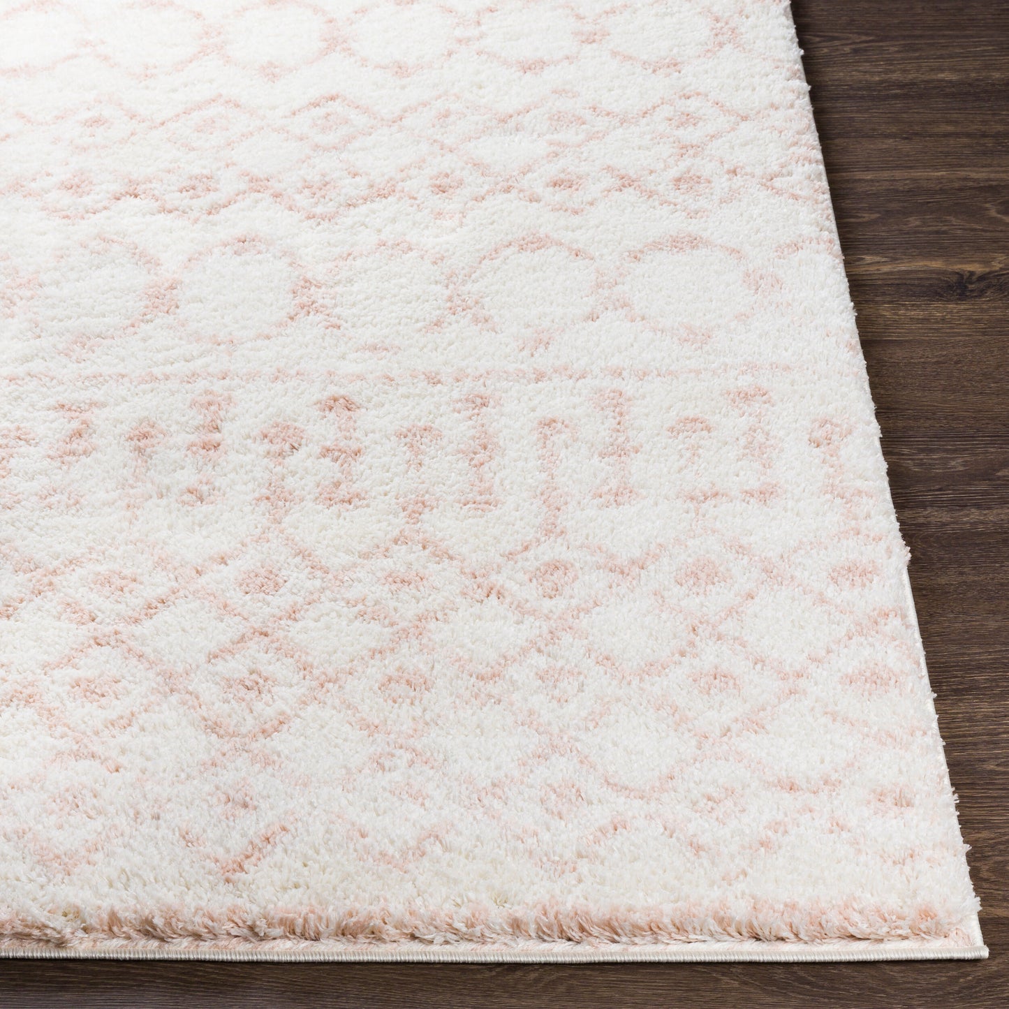 Surya Livabliss Aliyah ALH-2301 Shag Rug