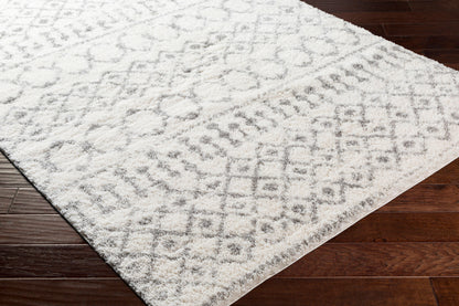 Surya Livabliss Aliyah ALH-2302 Shag Rug
