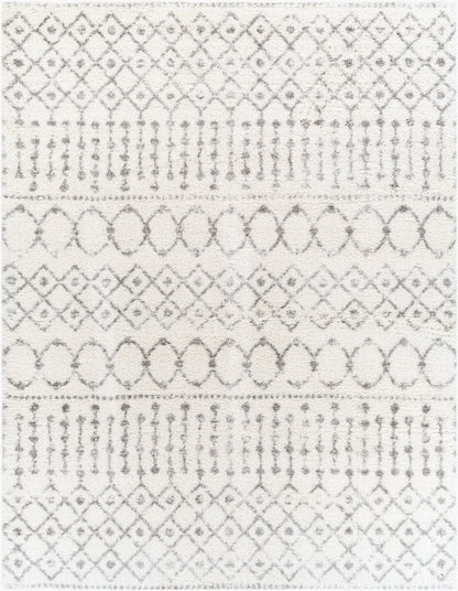 Surya Livabliss Aliyah ALH-2302 Shag Rug