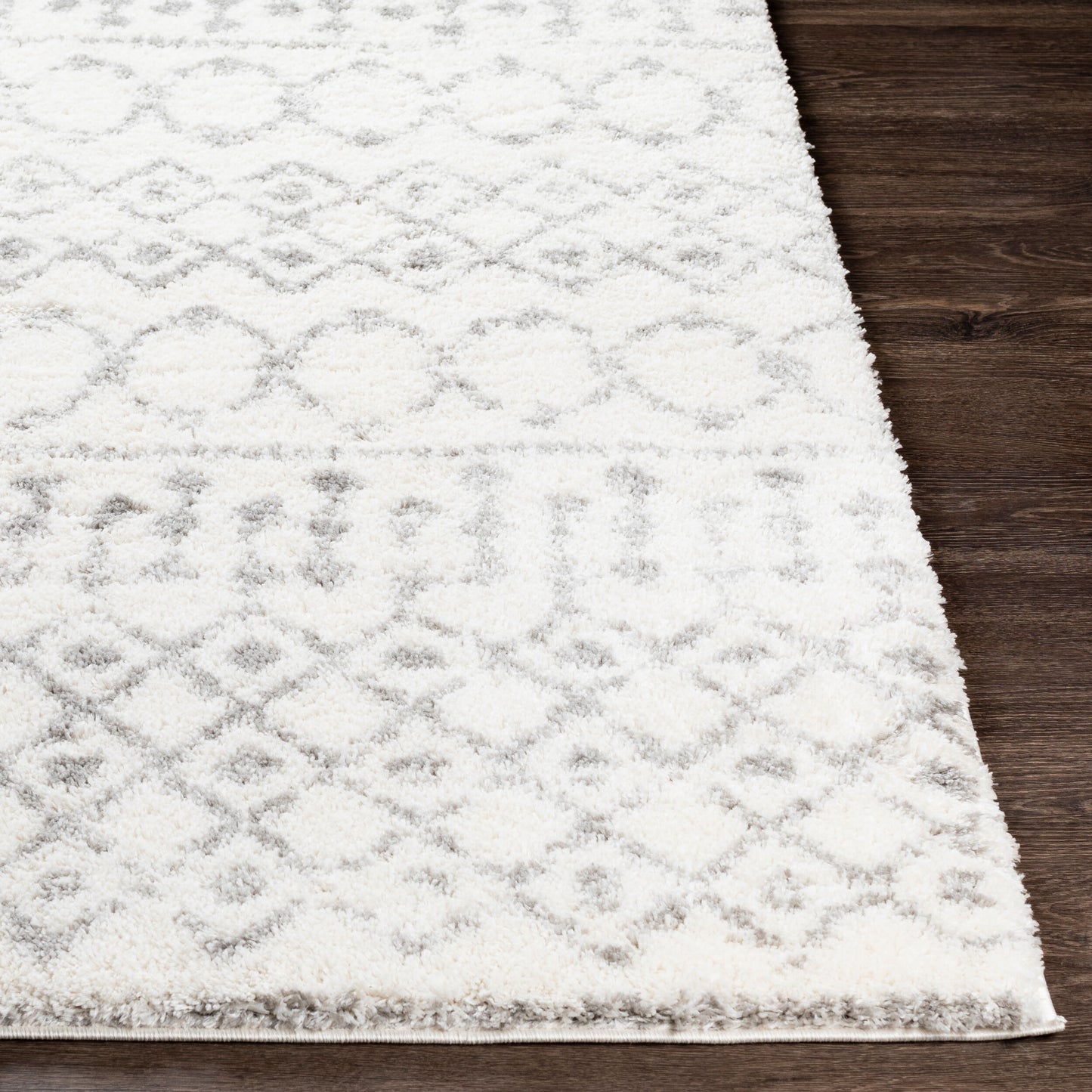 Surya Livabliss Aliyah ALH-2302 Shag Rug