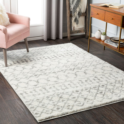 Surya Livabliss Aliyah ALH-2302 Shag Rug