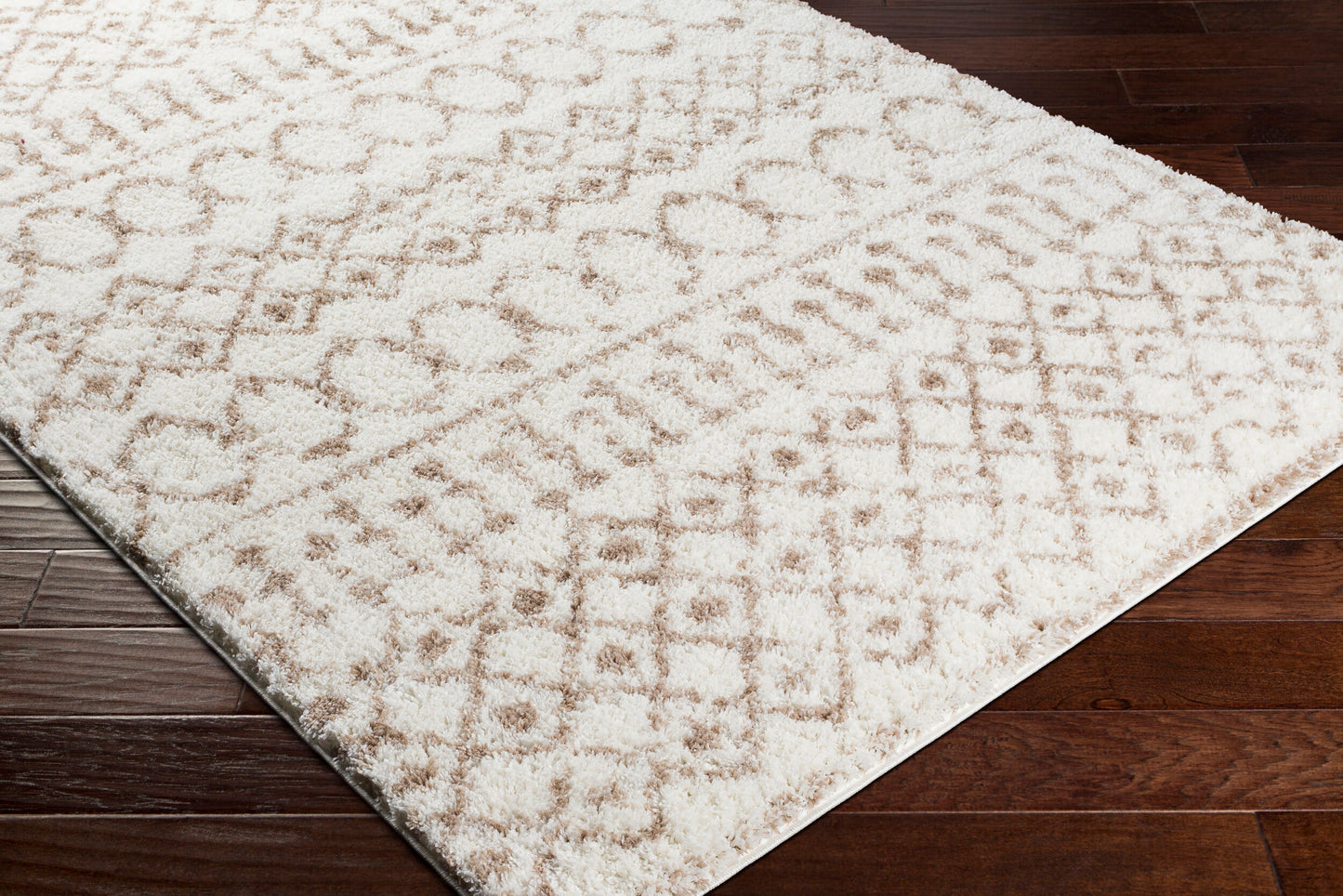 Surya Livabliss Aliyah ALH-2303 Shag Rug