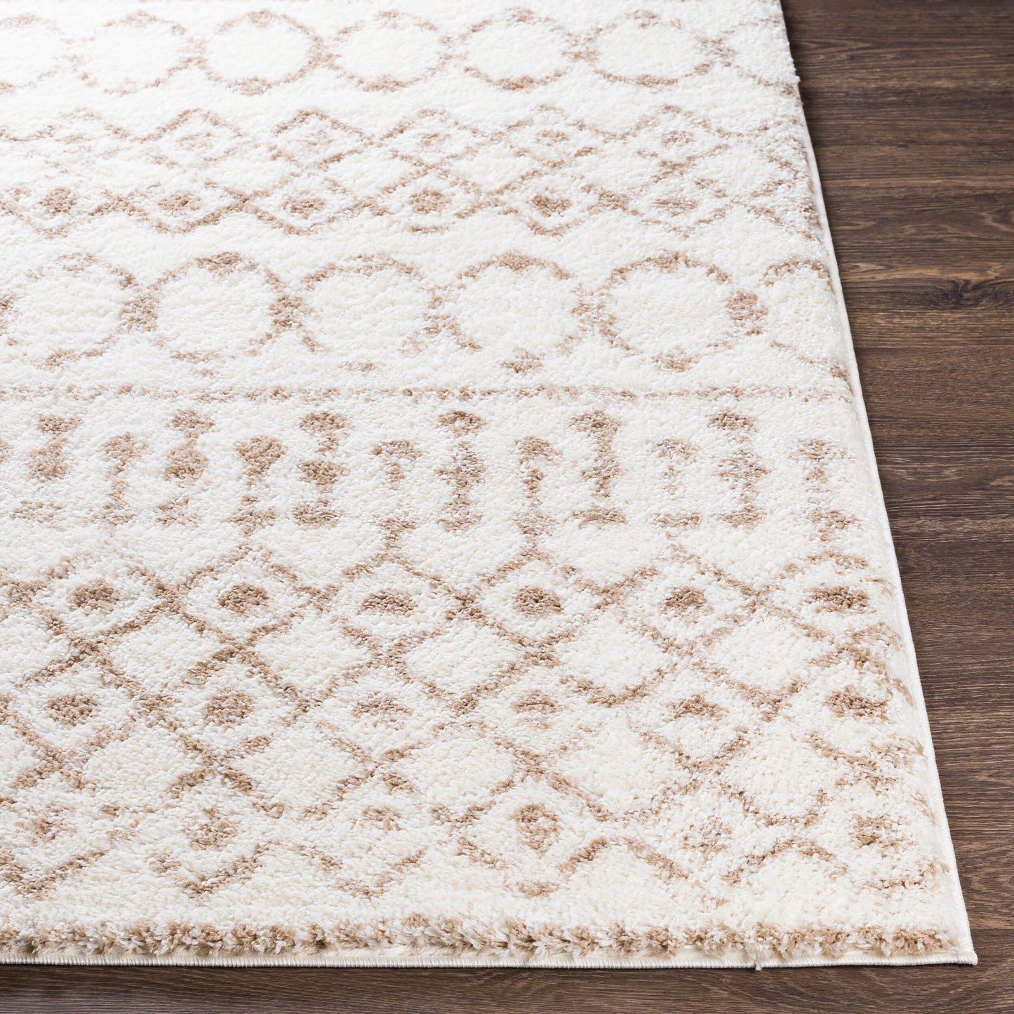 Surya Livabliss Aliyah ALH-2303 Shag Rug