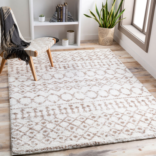 Surya Livabliss Aliyah ALH-2303 Shag Rug
