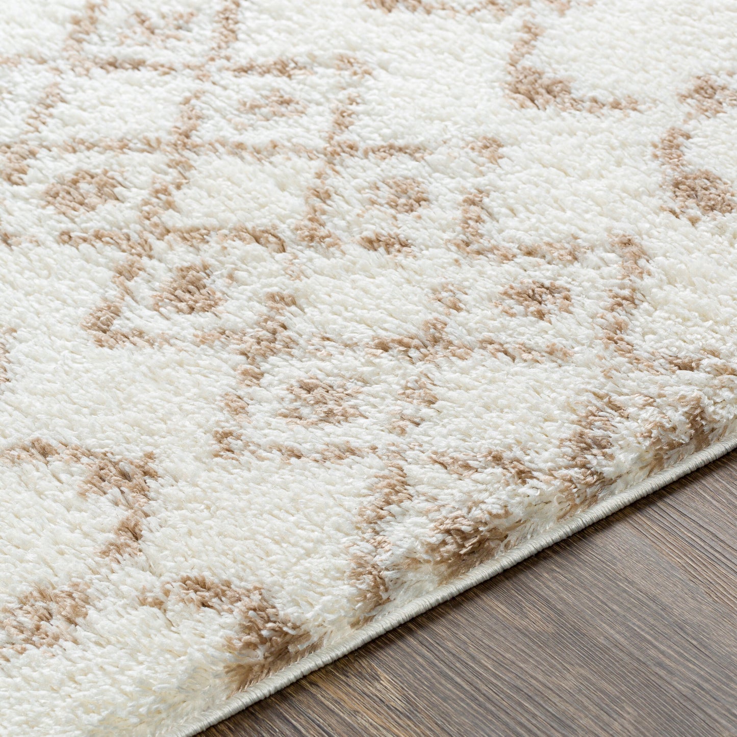 Surya Livabliss Aliyah ALH-2303 Shag Rug
