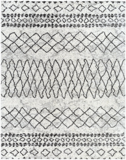 Surya Livabliss Aliyah ALH-2311 Shag Rug