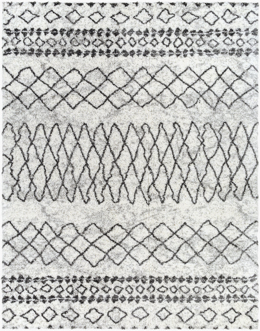 Surya Livabliss Aliyah ALH-2311 Shag Rug
