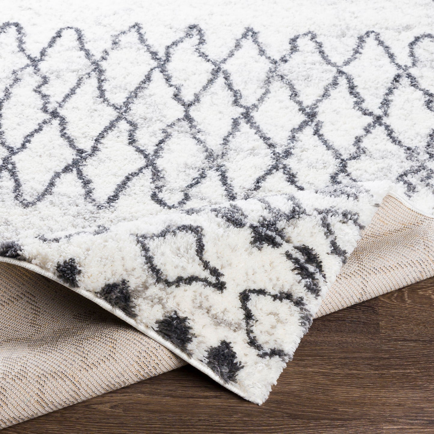 Surya Livabliss Aliyah ALH-2311 Shag Rug
