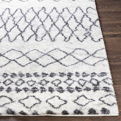Surya Livabliss Aliyah ALH-2311 Shag Rug