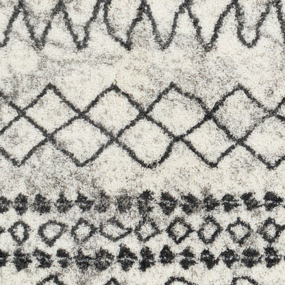 Surya Livabliss Aliyah ALH-2311 Shag Rug
