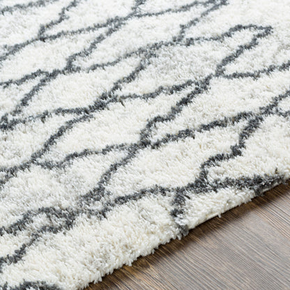 Surya Livabliss Aliyah ALH-2311 Shag Rug