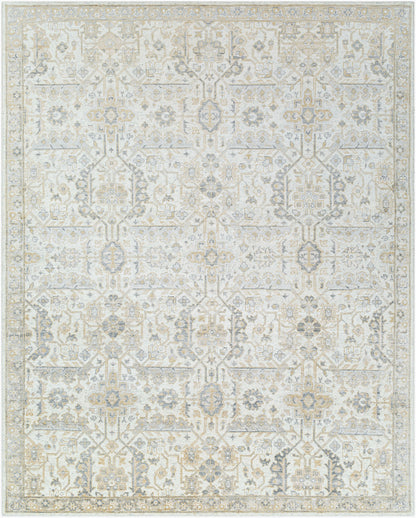 Surya Aleyna ANE-2301 Rug