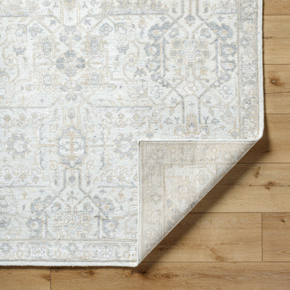 Surya Aleyna ANE-2301 Rug