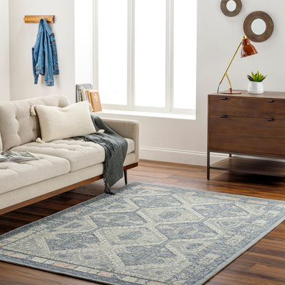 Surya Livabliss Addyson AYO-2301 Rug