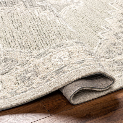 Surya Livabliss Addyson AYO-2303 Rug