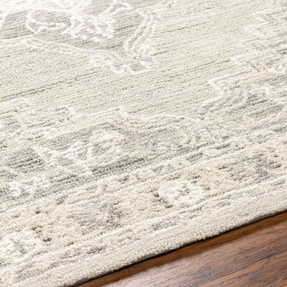 Surya Livabliss Addyson AYO-2303 Rug