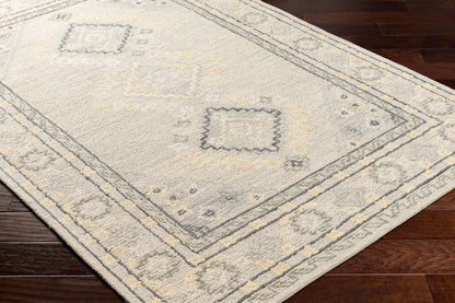 Surya Livabliss Addyson AYO-2304 Rug