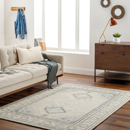 Surya Livabliss Addyson AYO-2304 Rug