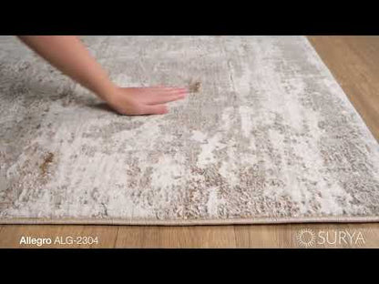 Surya Livabliss Allegro ALG-2304 Rug