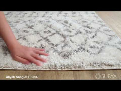 Surya Livabliss Aliyah ALH-2302 Shag Rug