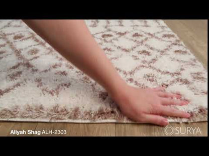 Surya Livabliss Aliyah ALH-2303 Shag Rug